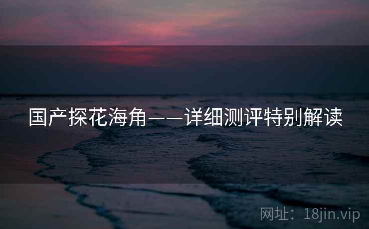 国产探花海角——详细测评特别解读