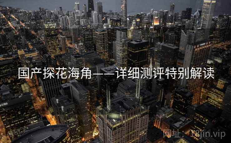 国产探花海角——详细测评特别解读