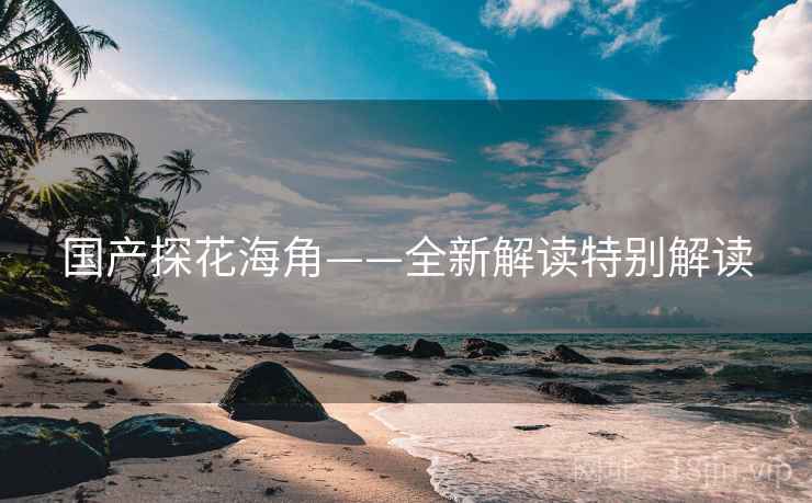 国产探花海角——全新解读特别解读