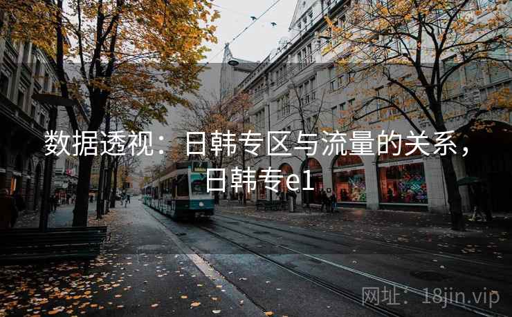 数据透视：日韩专区与流量的关系，日韩专e1