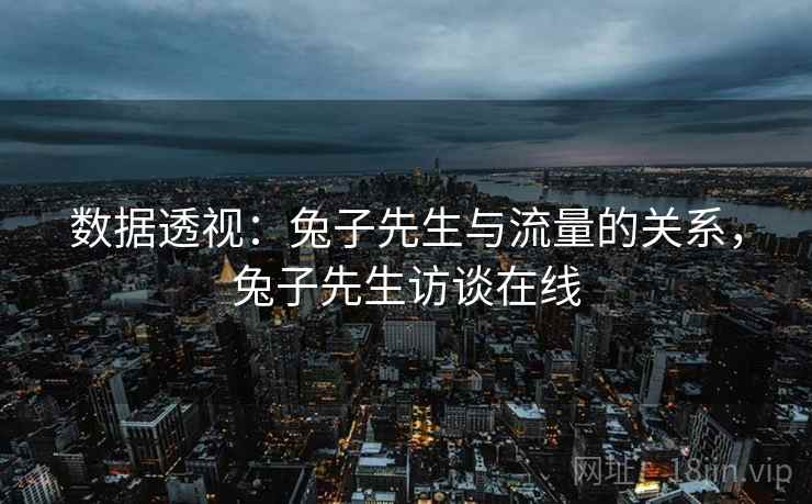 数据透视：兔子先生与流量的关系，兔子先生访谈在线