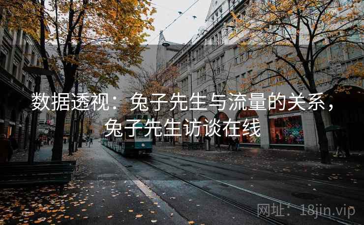 数据透视：兔子先生与流量的关系，兔子先生访谈在线