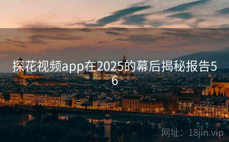 探花视频app在2025的幕后揭秘报告56