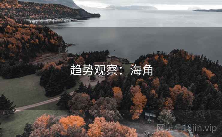 趋势观察：海角