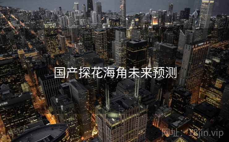 国产探花海角未来预测