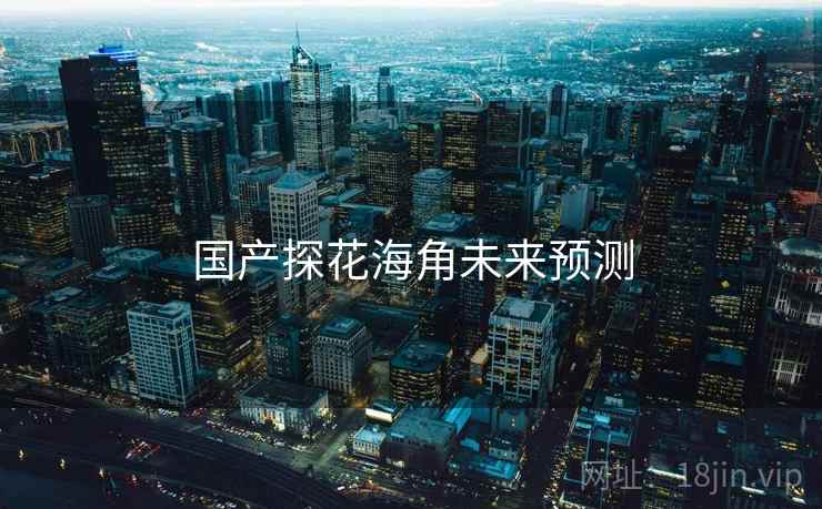 国产探花海角未来预测