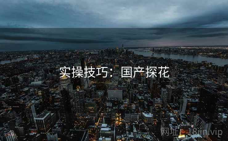 实操技巧：国产探花