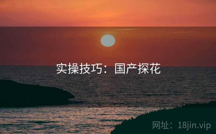 实操技巧：国产探花