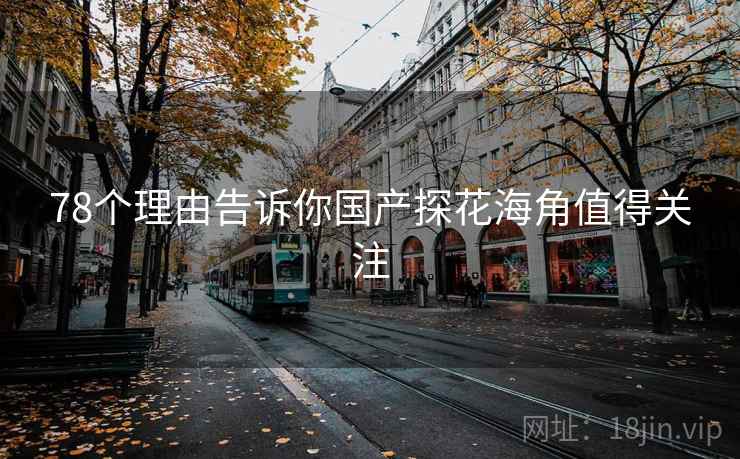 78个理由告诉你国产探花海角值得关注