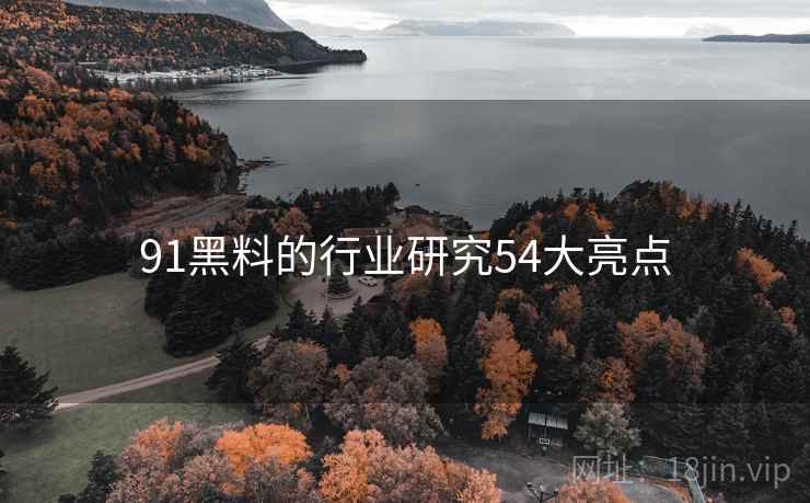 91黑料的行业研究54大亮点