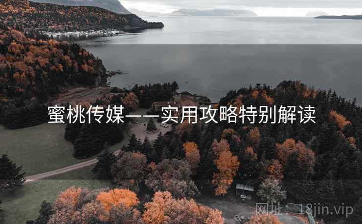 蜜桃传媒——实用攻略特别解读