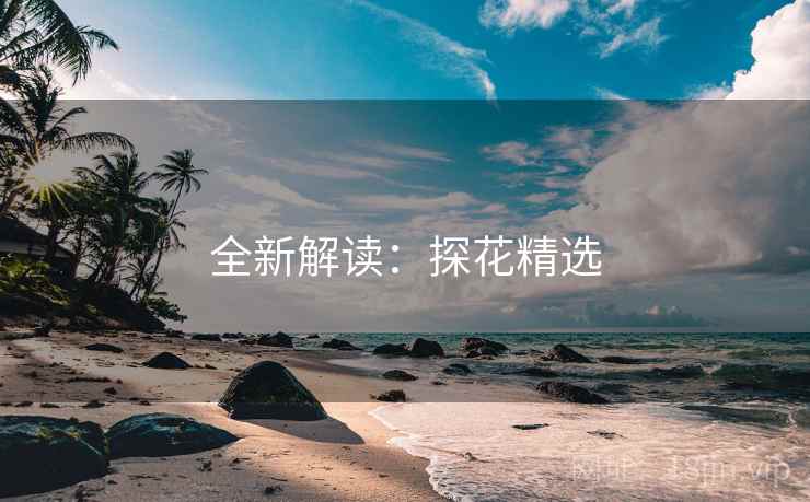 全新解读：探花精选
