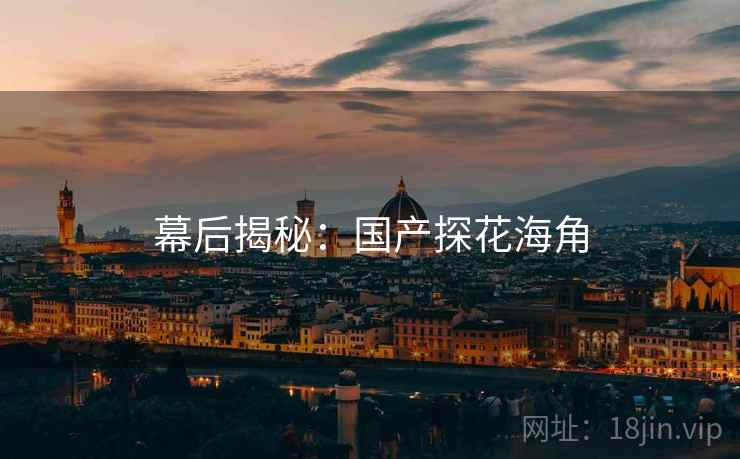 幕后揭秘：国产探花海角