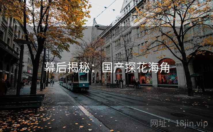 幕后揭秘：国产探花海角