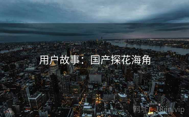 用户故事：国产探花海角