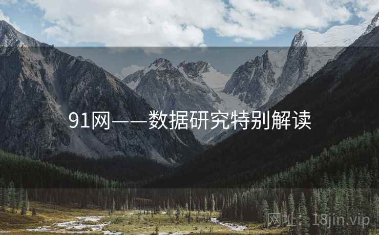 91网——数据研究特别解读