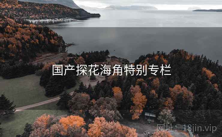 国产探花海角特别专栏