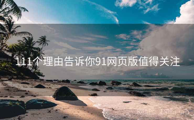 111个理由告诉你91网页版值得关注