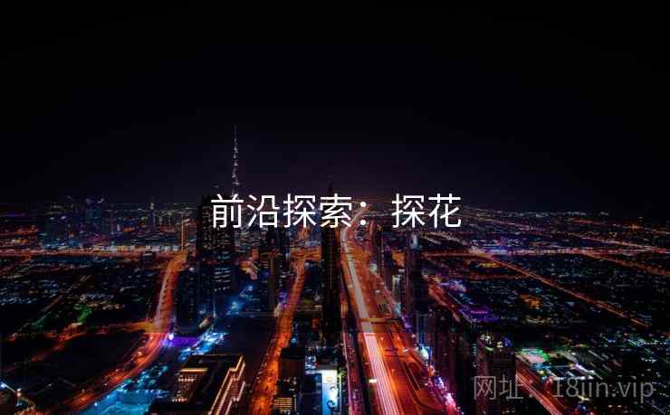 前沿探索：探花
