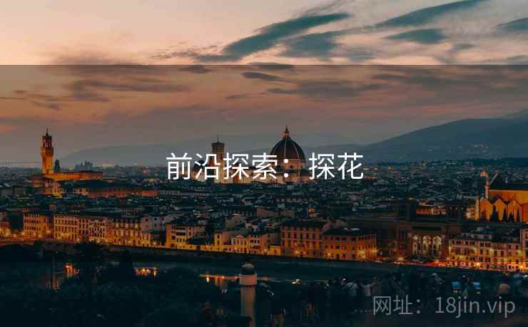 前沿探索：探花