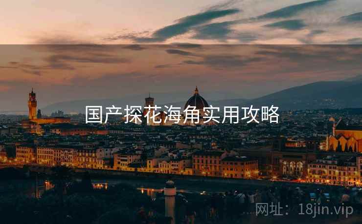 国产探花海角实用攻略