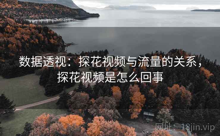 数据透视：探花视频与流量的关系，探花视频是怎么回事