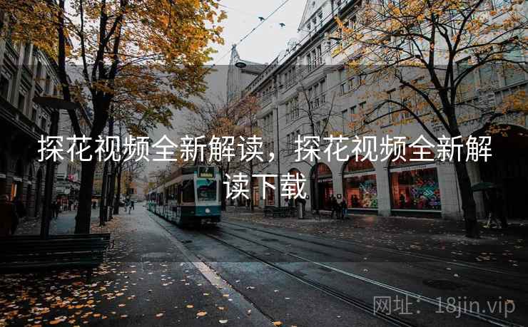 探花视频全新解读，探花视频全新解读下载
