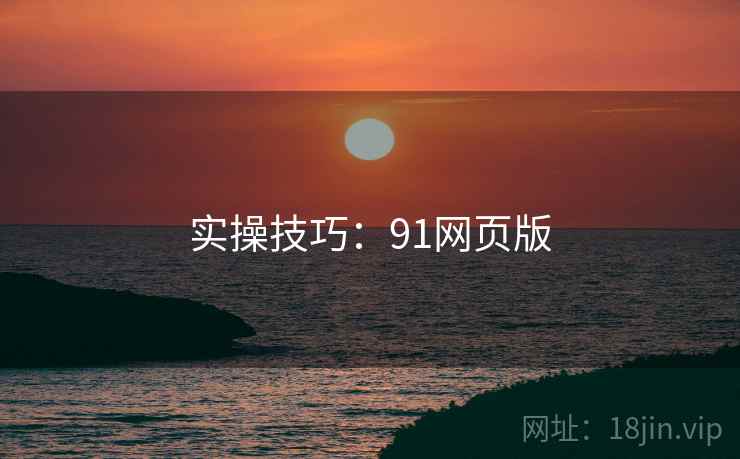 实操技巧：91网页版