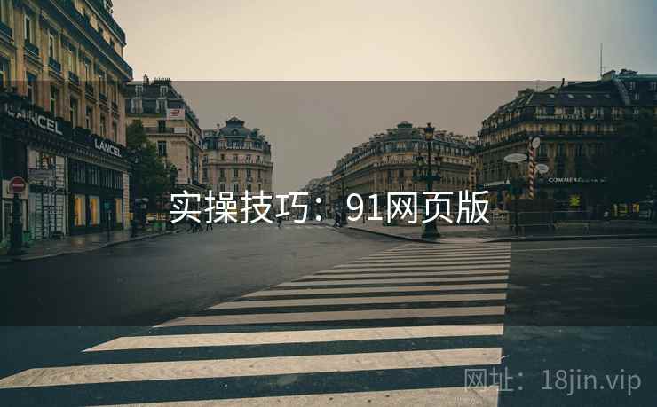 实操技巧：91网页版