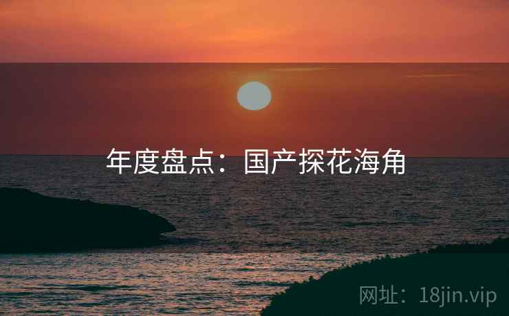 年度盘点：国产探花海角