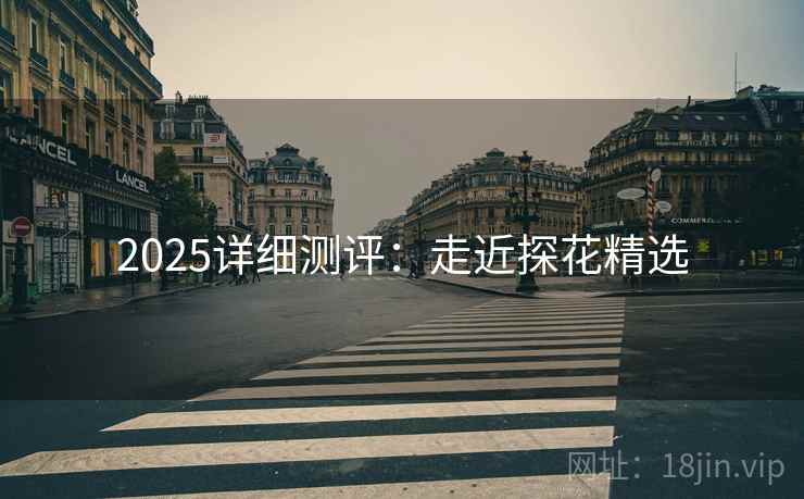 2025详细测评：走近探花精选