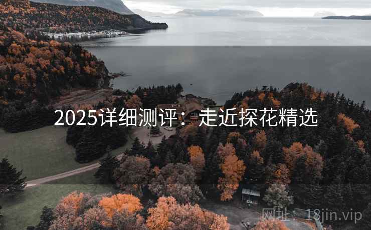 2025详细测评：走近探花精选