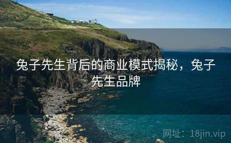 兔子先生背后的商业模式揭秘，兔子先生品牌
