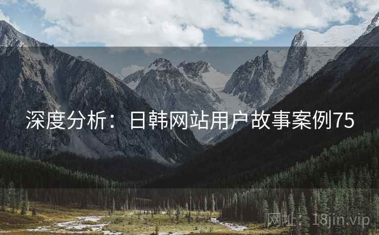 深度分析：日韩网站用户故事案例75  第2张