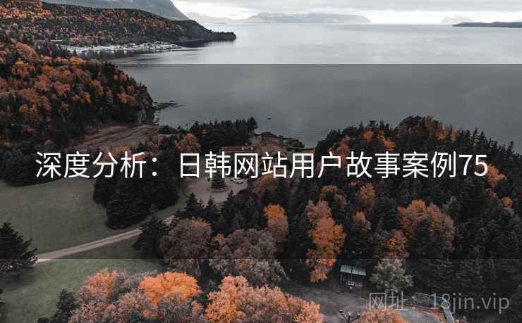 深度分析：日韩网站用户故事案例75  第1张