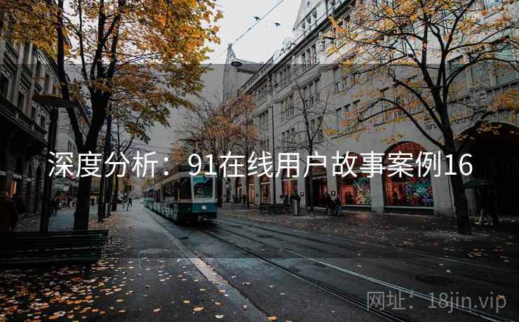 深度分析：91在线用户故事案例16