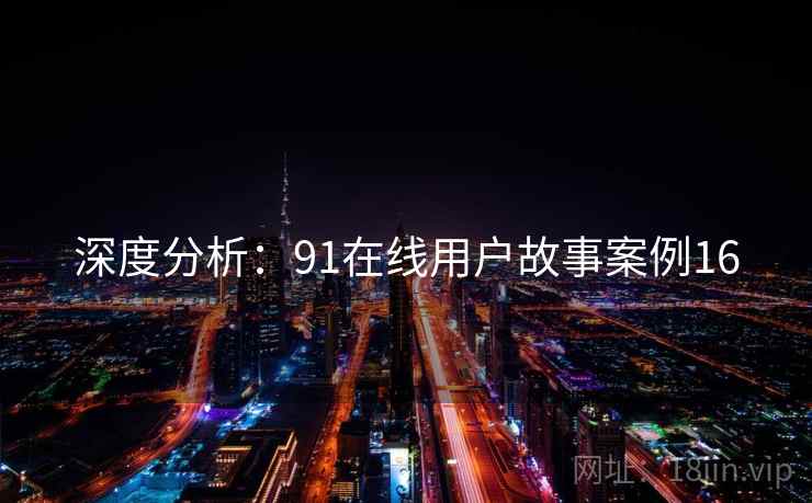 深度分析：91在线用户故事案例16