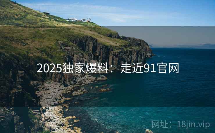 2025独家爆料：走近91官网