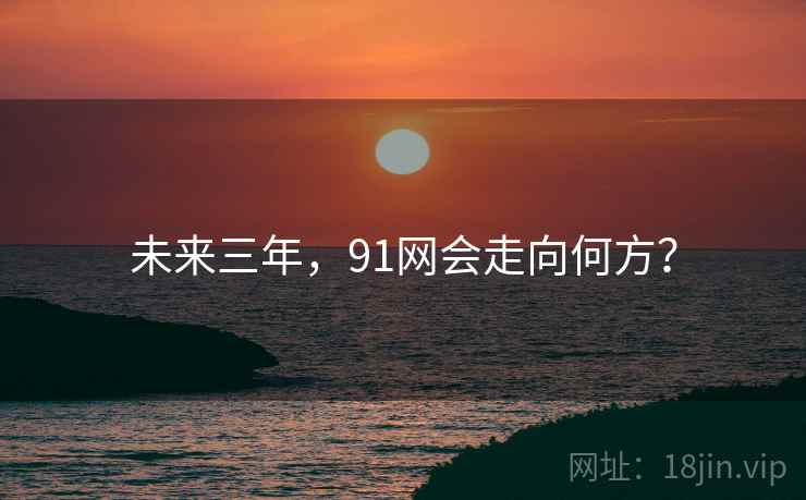 未来三年，91网会走向何方？
