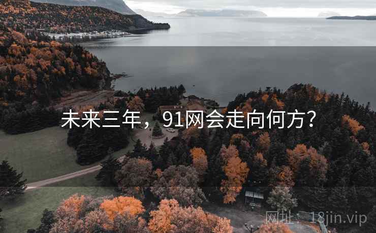未来三年，91网会走向何方？