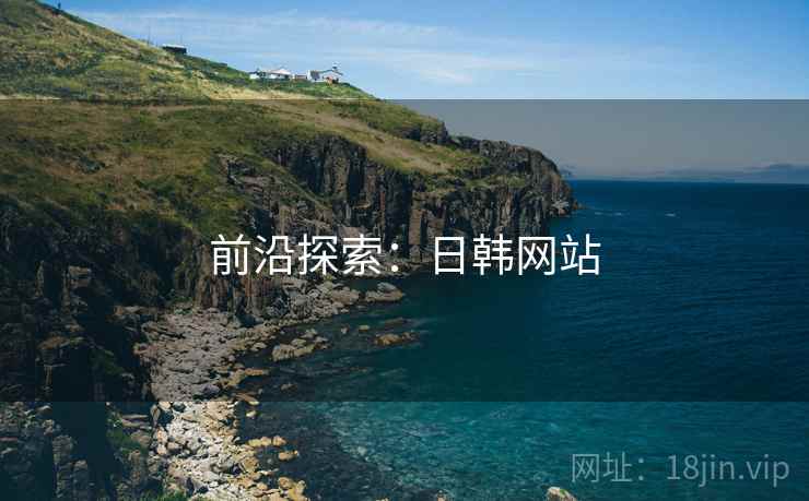 前沿探索：日韩网站