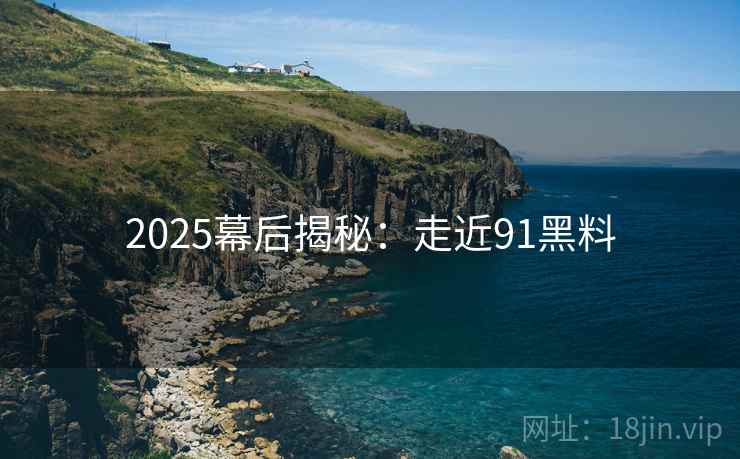 2025幕后揭秘：走近91黑料