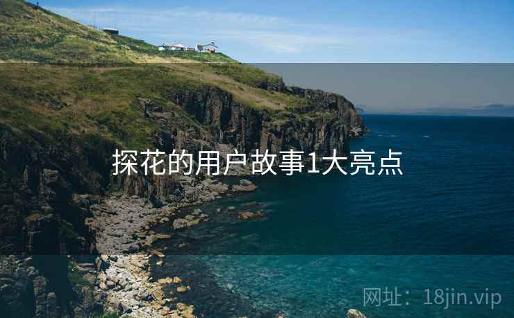 探花的用户故事1大亮点