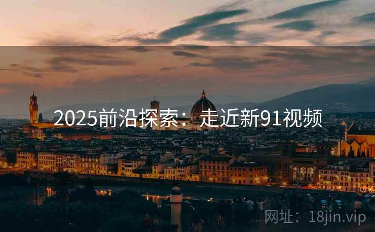 2025前沿探索：走近新91视频