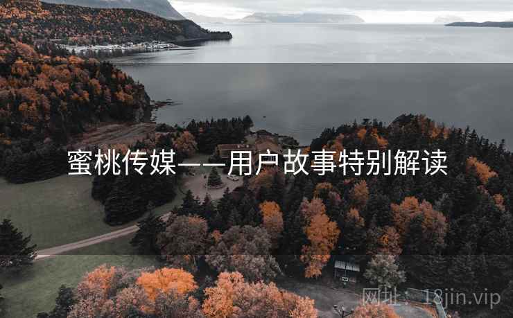 蜜桃传媒——用户故事特别解读