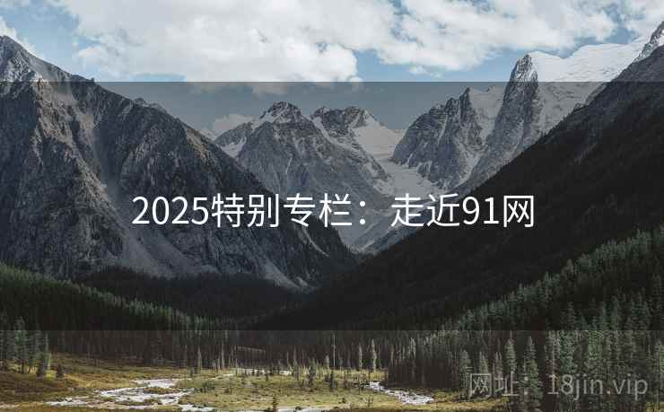 2025特别专栏:走近91网