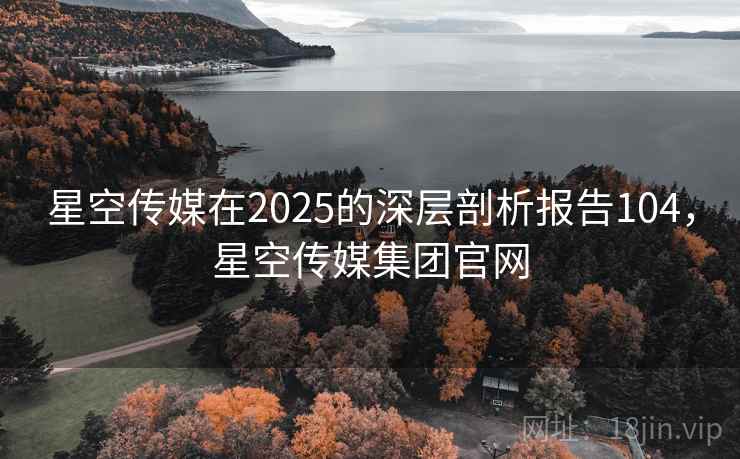 星空传媒在2025的深层剖析报告104,星空传媒集团官网